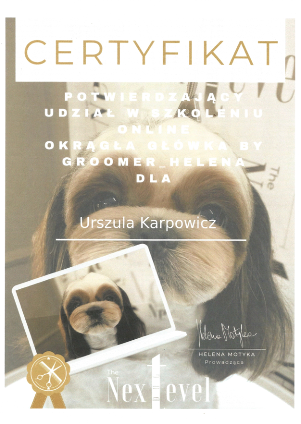 Next Level - Okrągła główka 2025